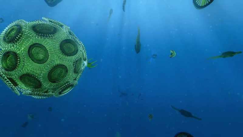 Phytoplankton