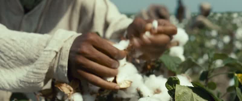 Pick that cotton