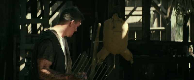 [pig grunting]