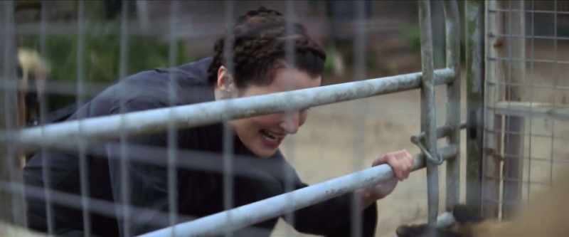 (PIG SNORTING)