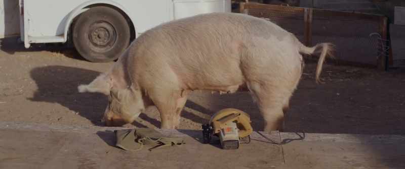 (pig snorts)