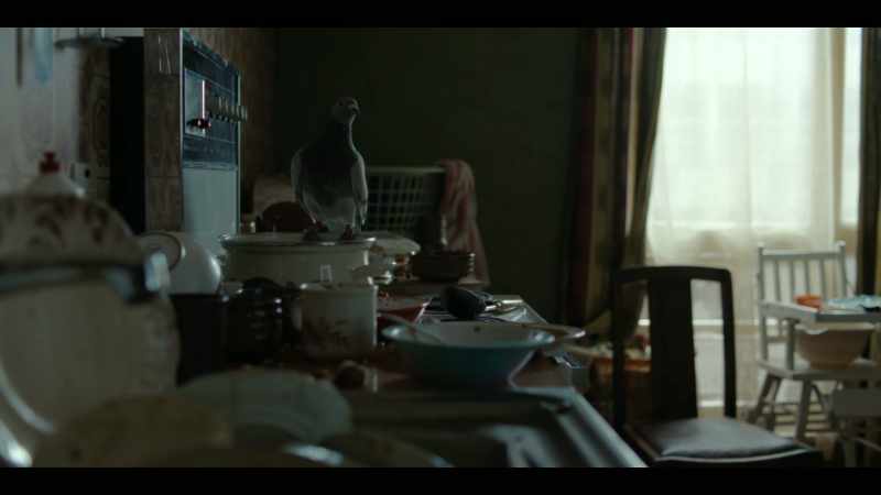 [pigeon cooing]