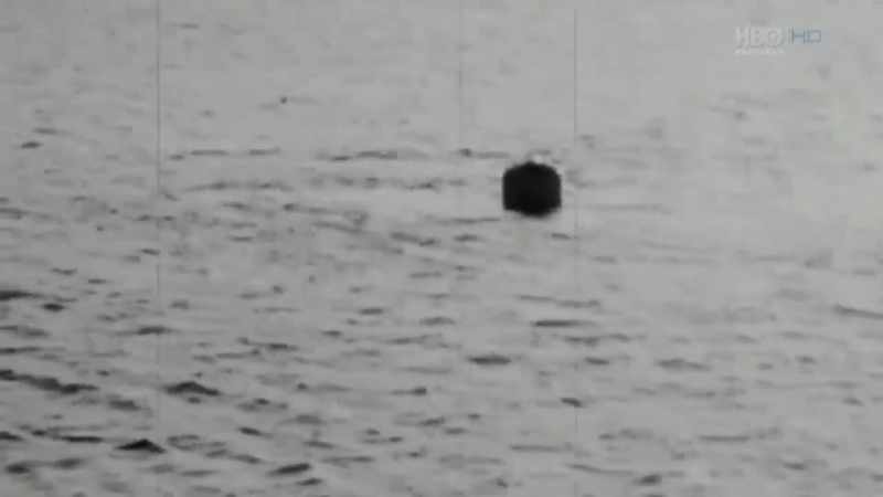 Piglet survived the launching