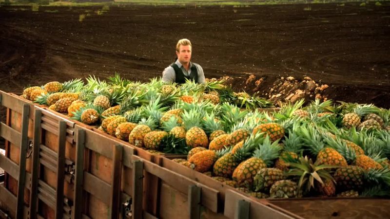 Pineapples