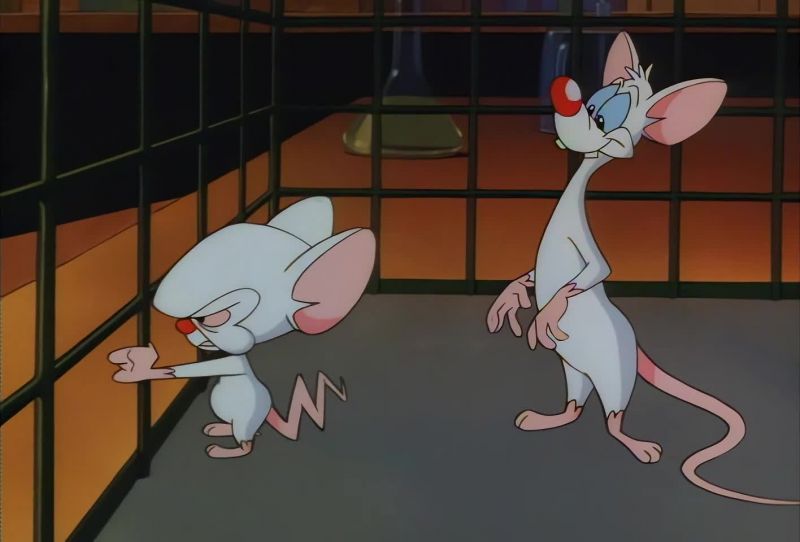 Pinky are you pondering what I'm pondering
