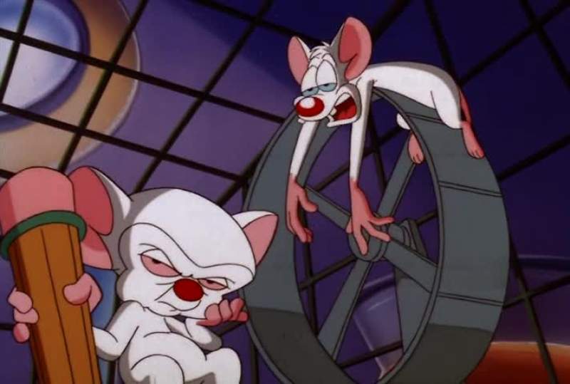 PINKY ARE YOU PONDERING YOU KNOW