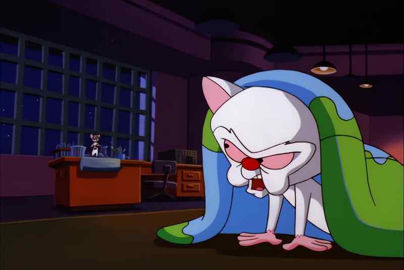 PINKY, HOW MANY TIMES HAVE I TOLD YOU