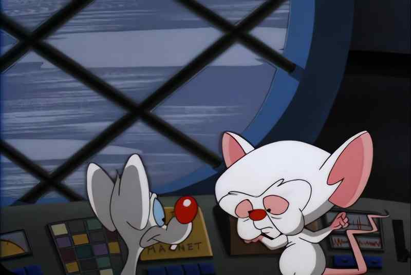 PINKY, IT WORKED! WE'RE STABLE!