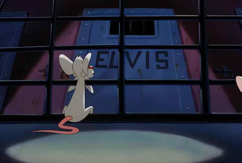 Pinky: NICE HOTEL, BRAIN. ELVIS IS PLAYING THE LOUNGE