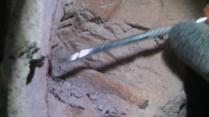 Pipe opal can be worth $1,500 a carat