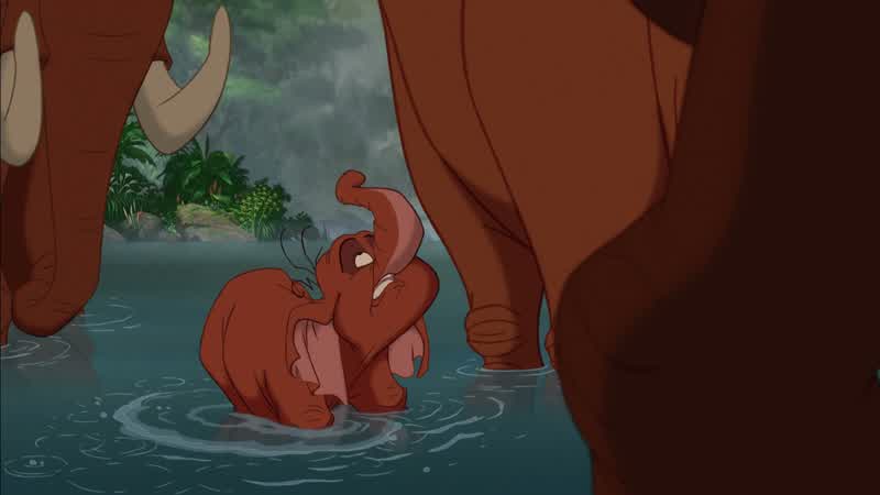 Gasping Piranha It s a piranhaSweetheart there are no piranhas in AfricaDon't tell the kid that Of course there are piranhas in AfricaNo she's right They're native to South AmericaGet outta here No