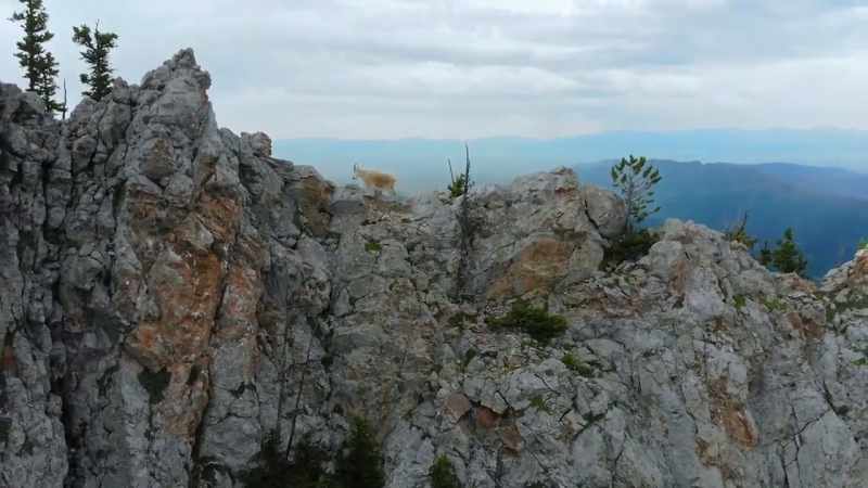 Places that are seemingly inaccessible to humans
