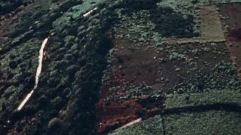 PLANES BUZZ OVER TINIAN'S ORDERLY AGRICULTURAL LANDSCAPE