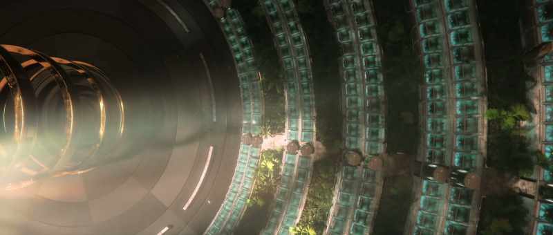 Plants convert sunlight into glucose energy