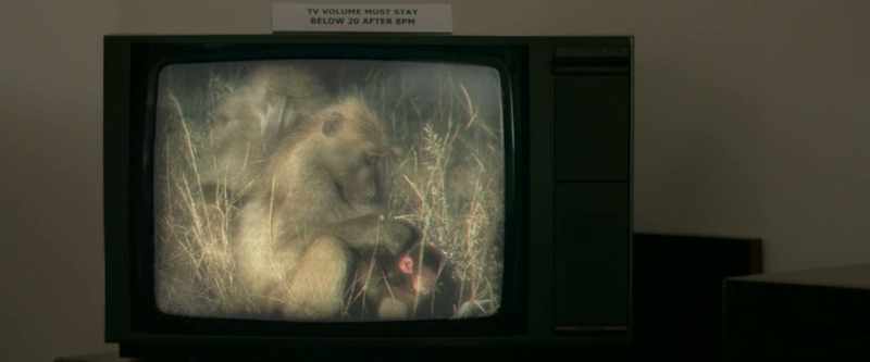 [playful music on TV]