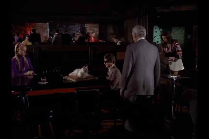 (playing gentle melody)