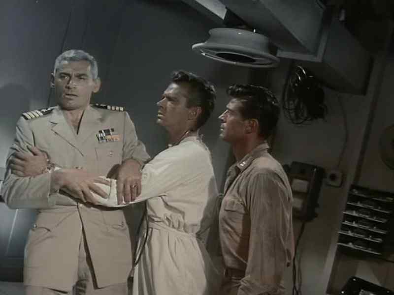 Please, Captain