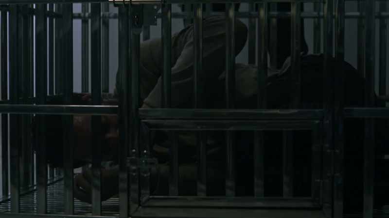 Please, please, please let me out of here, please