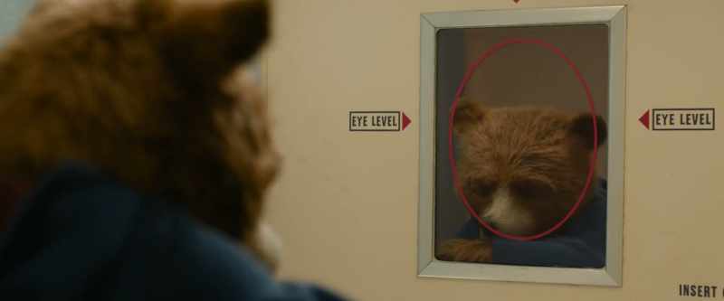 'Please position your face within the red circle.'
