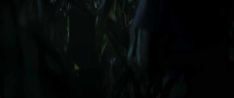 Please, Ryan, you can't leave me! Please, please, please