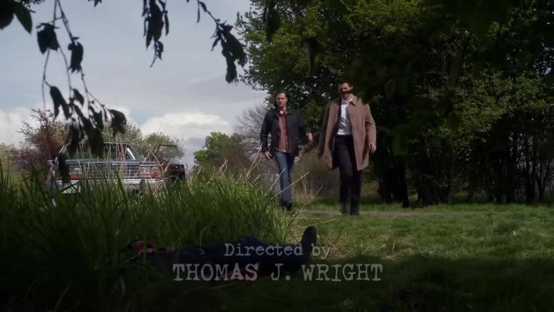 Please