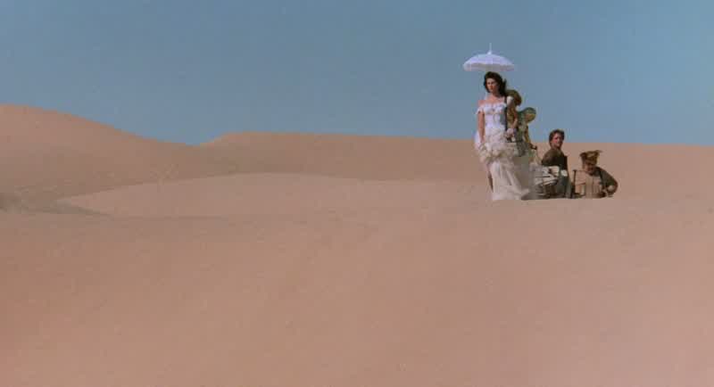 PLEASE SLOW DOWN.I'M GETTING SAND UP MY GEARS