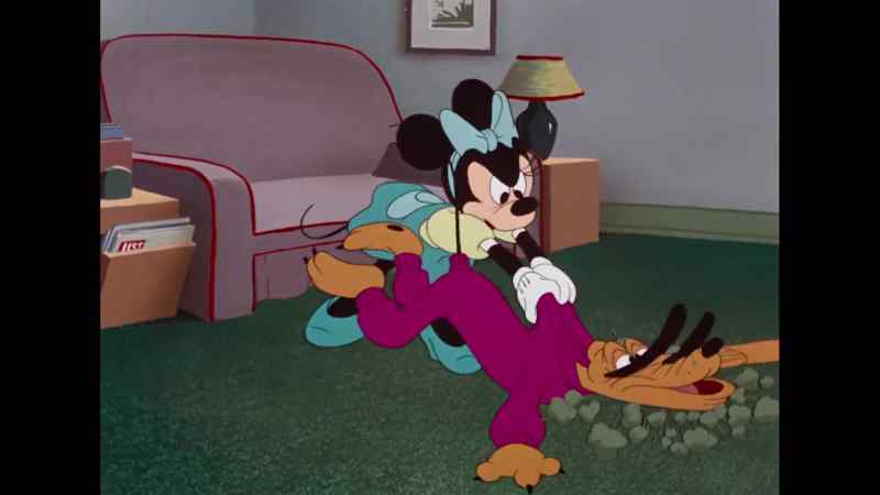 Pluto! Oh, no, you don't. You're going outside