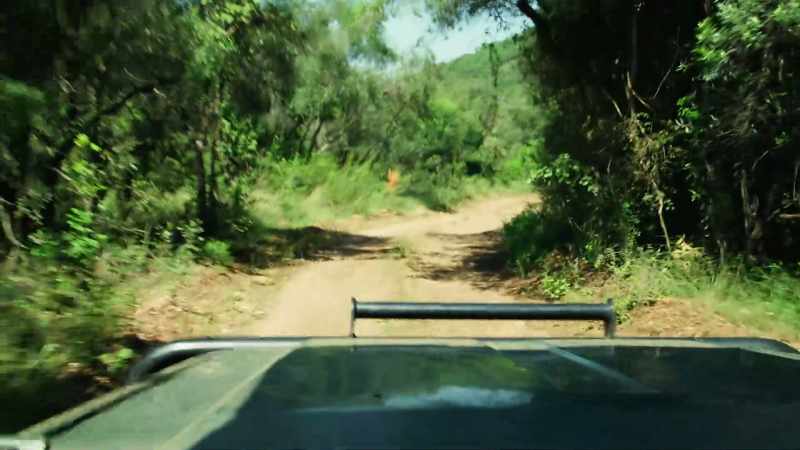 Poaching rhino horn is the third biggest revenue generator
