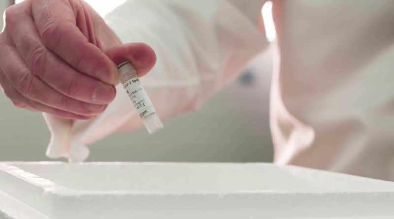 Podemos fazer e purificar a proteína