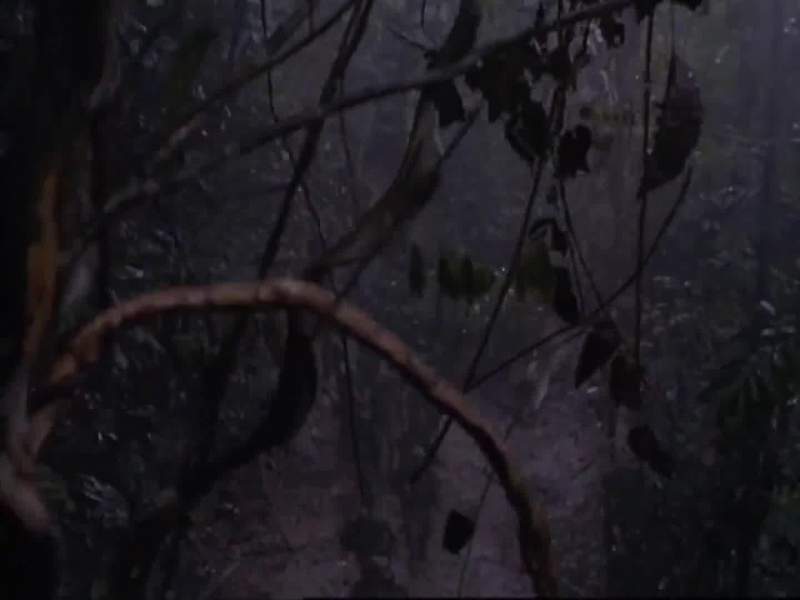 Poisoned arrows