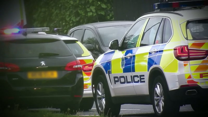 Police officers pulled the car over