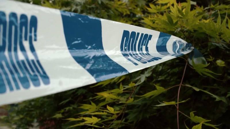 Police were on the hunt