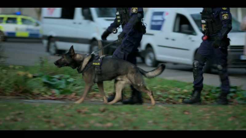 [POLICE RADIO CHATTER]