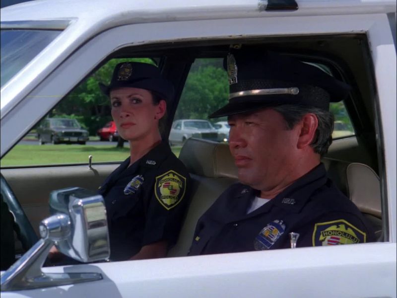 [ POLICE RADIO CHATTER ]