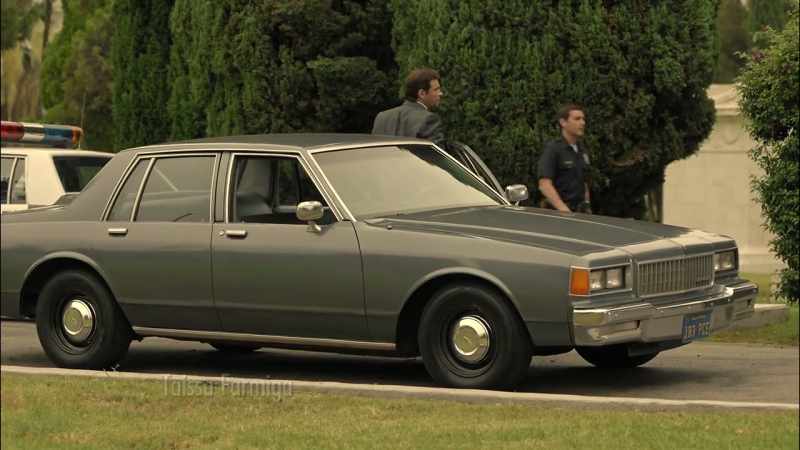 [ POLICE RADIO CHATTER ]