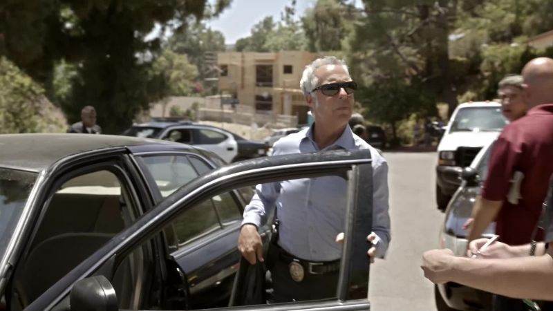 (POLICE RADIO CHIRPS) - (BUSY CHATTER)