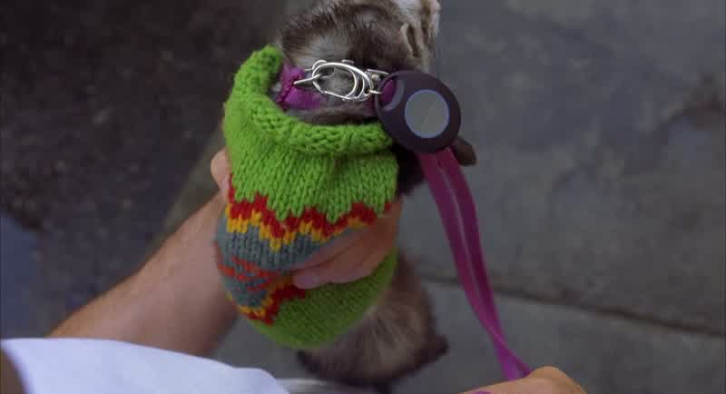 POLLY: Rodolfo, wait!