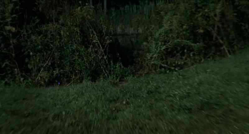 Pond, pond, pond, pond, pond, pond!