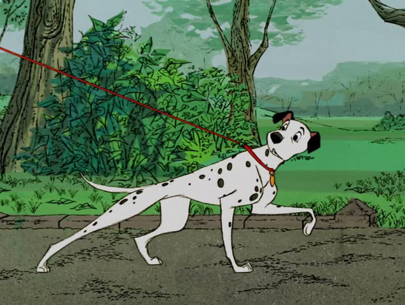 Pongo, boy, take it easy!