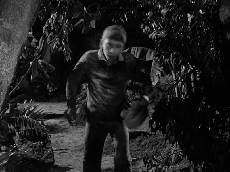 Poor boy, where's Thurston? - They got him