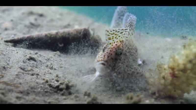 Populated by creatures so intelligent