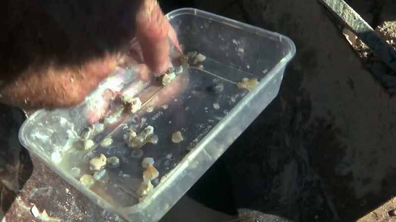 Potch is opal