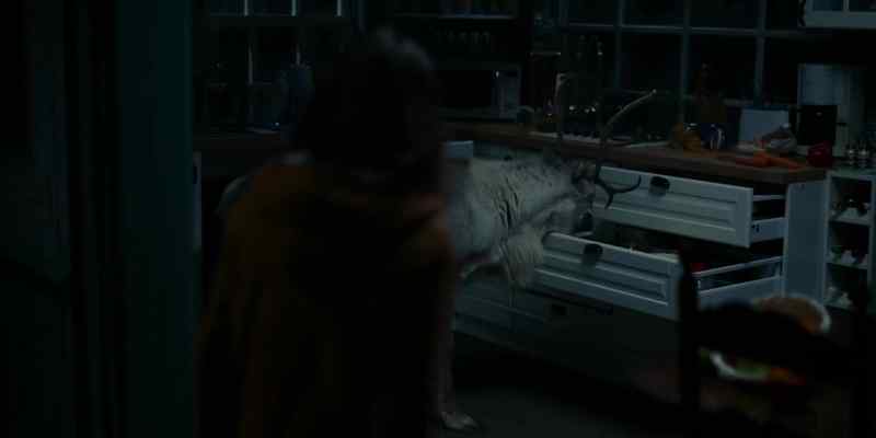 Prancer! What are you doing? Why are you here?