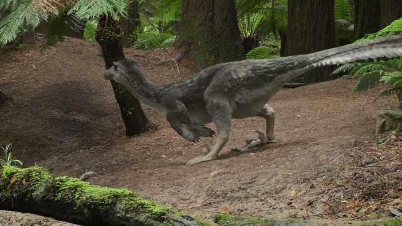 [predator roaring]