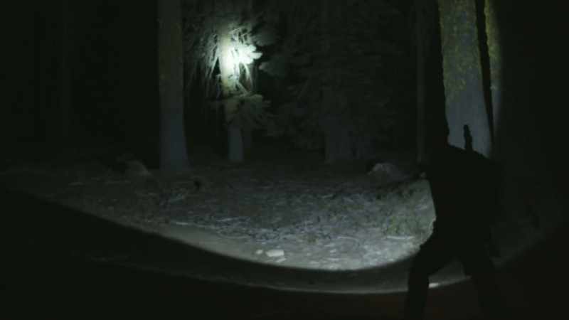 Predators like coyotes, mountain lions