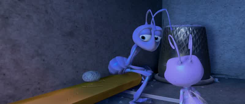 Pretend it's a seed okayChuckles Thanks DotHey what's with the rock Must be an ant thing