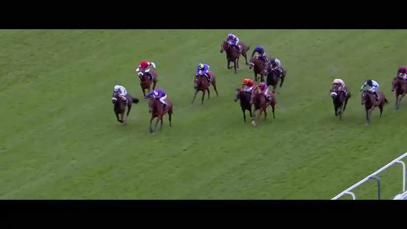 Prettiest is staying on well with Elliptic