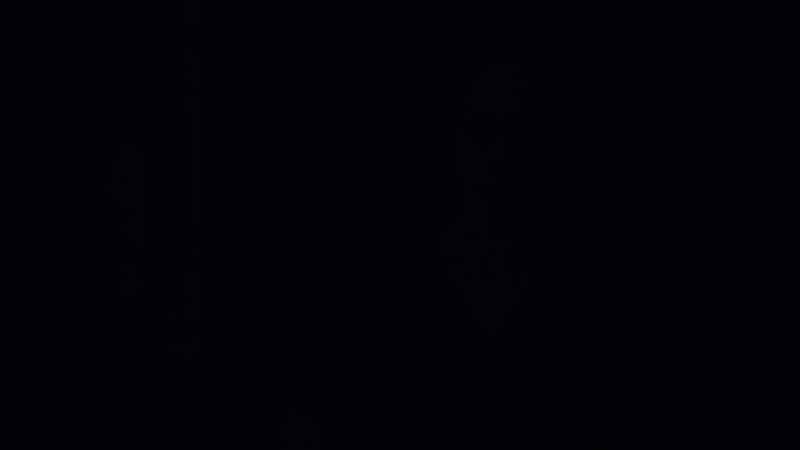 Previously on dark matter