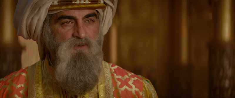 Prince Ali, you invited yourself into our city