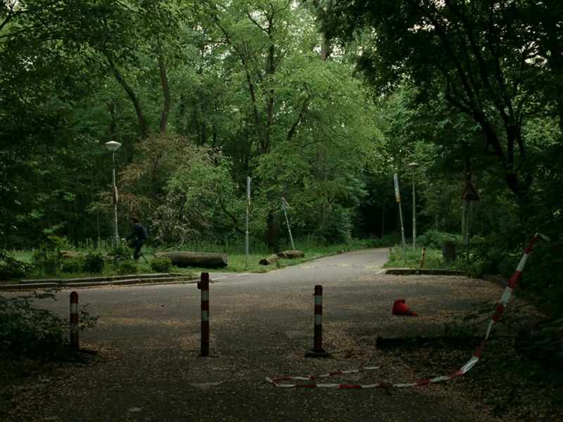 Prins claimed he had forgotten that he was not allowed to be in the park